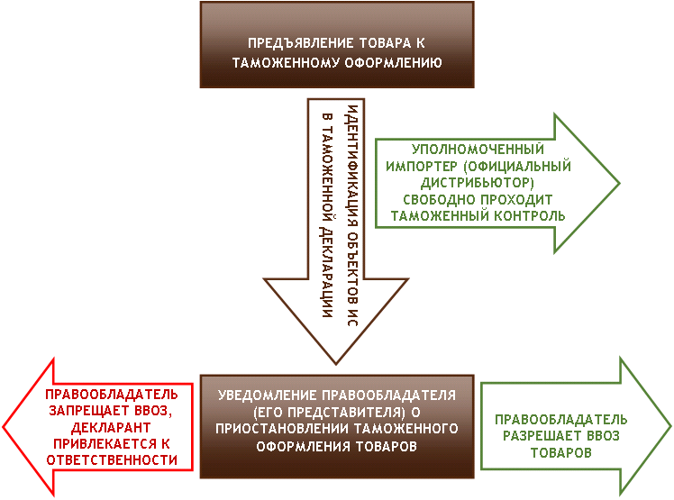 Как работают меры таможенной защиты товарных знаков в Беларуси